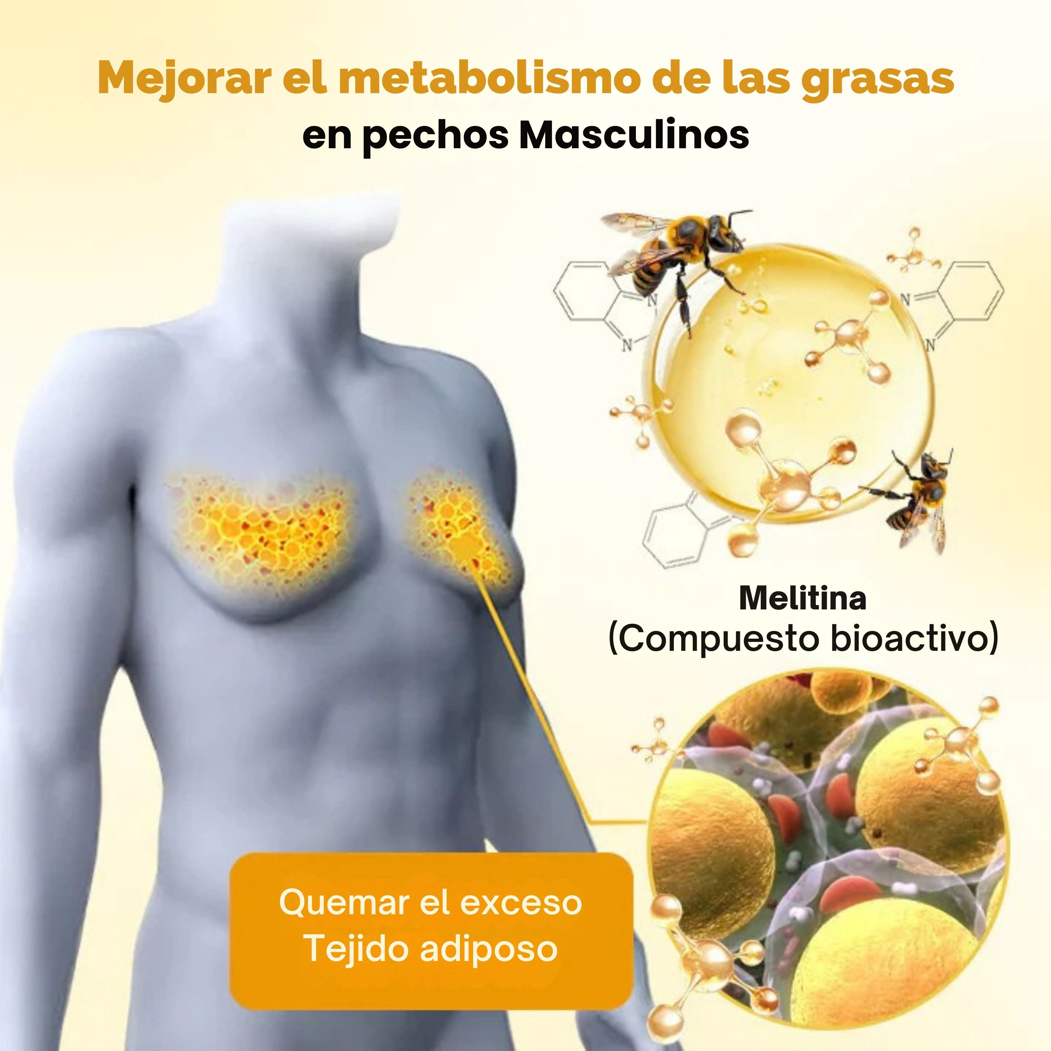 Sanorys ThermoFin™ - Elimina tu ginecomastia en 7 días | 1+1 GRATIS