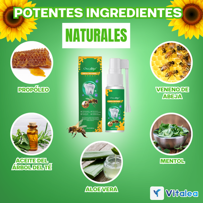 1 + 1 gratis  Dentizen™ - ⛫💨Spray para la regeneración de encías